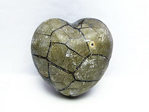 Amazon.co.jp: 1.8Kg マダガスカル産 タートルジャスパー ハート型